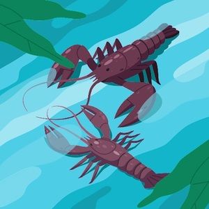 Meet your Posher, Ángela